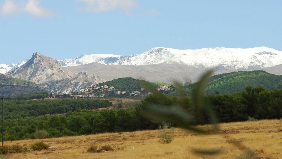 El Rincon De Pepa La Zubia (Granada)